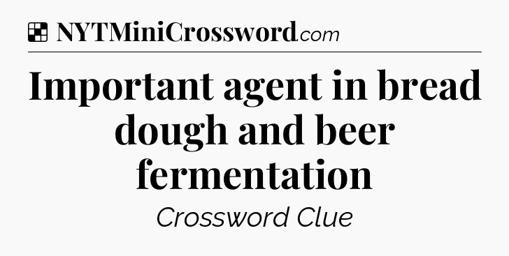 Solution: Important agent in bread dough and beer fermentation - NYT Crossword
