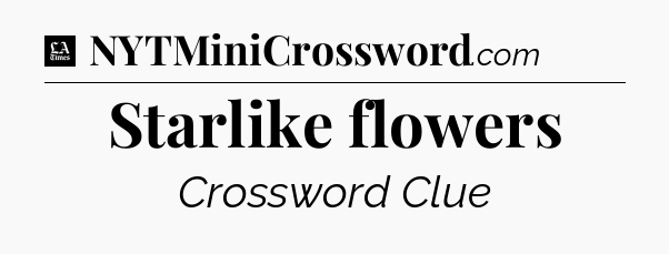 Starlike flowers - LA Times Crossword