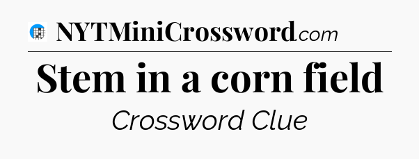 Stem in a corn field Crossword Clue