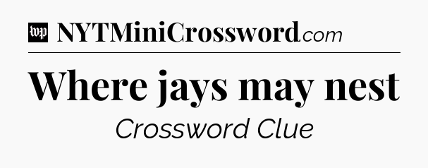 Where jays may nest Crossword Clue