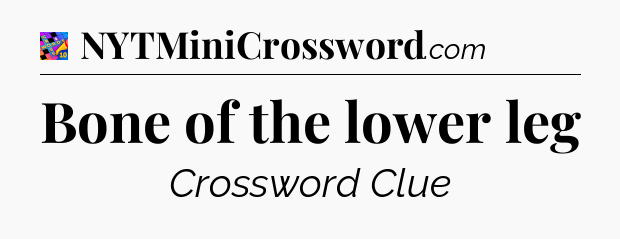 Bone of the lower leg Crossword Clue