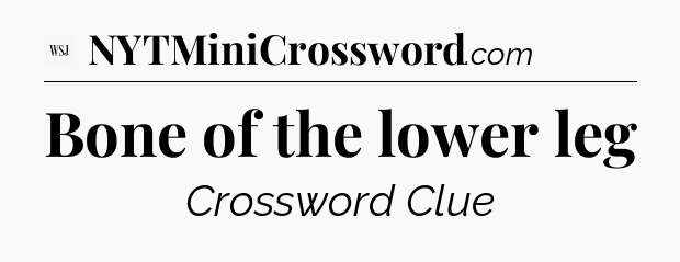 Bone of the lower leg - WSJ Crossword