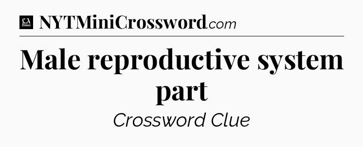 Male reproductive system part - LA Times Crossword