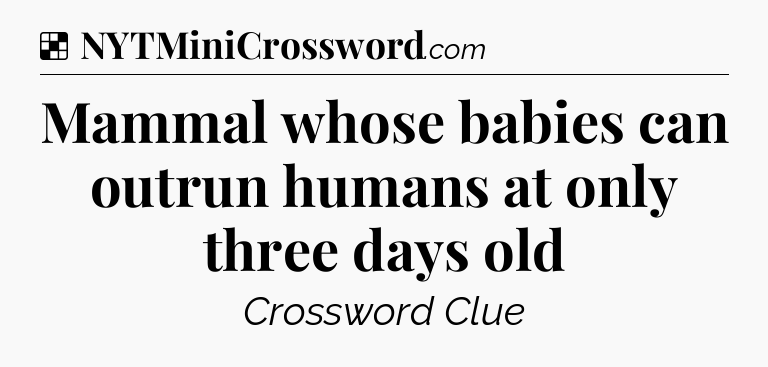 Solution: Mammal whose babies can outrun humans at only three days old - NYT Crossword