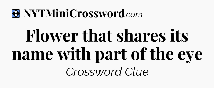 Solution: Flower that shares its name with part of the eye - NYT Mini Crossword
