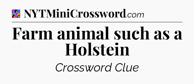 Farm animal such as a Holstein Crossword Clue
