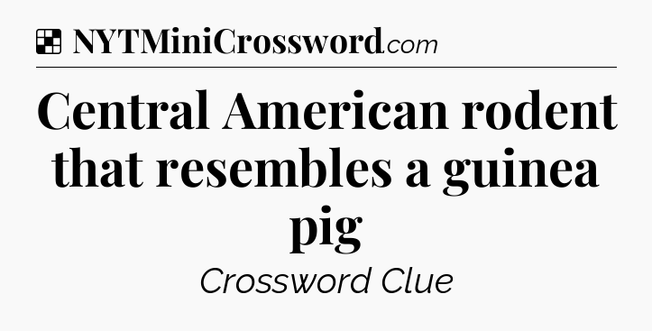 Solution: Central American rodent that resembles a guinea pig - NYT Crossword