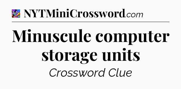 Minuscule computer storage units Crossword Clue