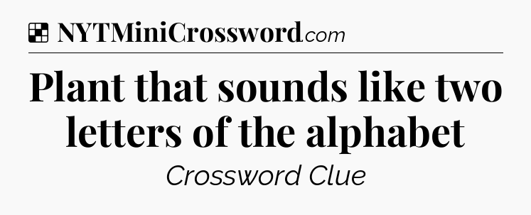Solution: Plant that sounds like two letters of the alphabet - NYT Crossword