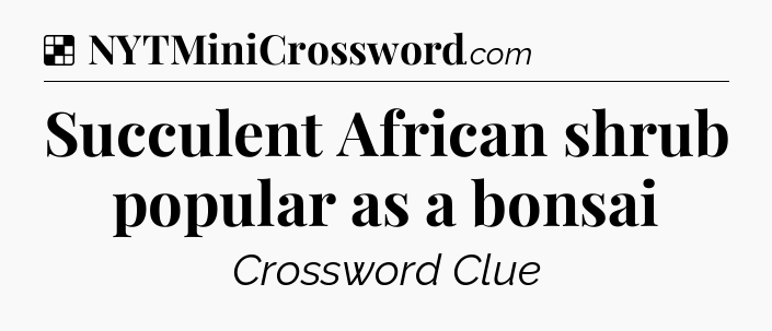 Solution: Succulent African shrub popular as a bonsai - NYT Crossword