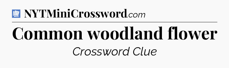 Common woodland flower Puzzle Page Crossword Clue