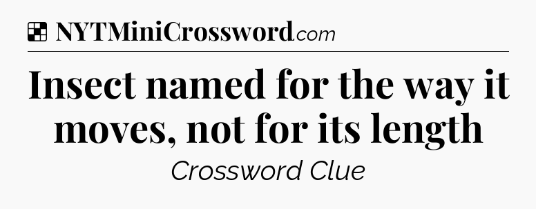 Solution: Insect named for the way it moves, not for its length - NYT Crossword