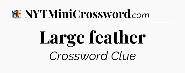 Large feather Crossword Clue