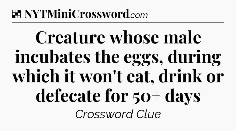 Solution: Creature whose male incubates the eggs, during which it won't eat, drink or defecate for 50+ days - NYT Crossword