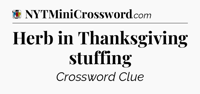 Herb in Thanksgiving stuffing Crossword Clue