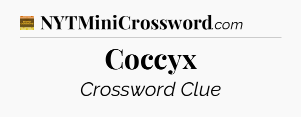 Coccyx - Eugene Sheffer Crossword