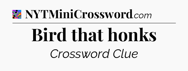 Bird that honks Crossword Clue