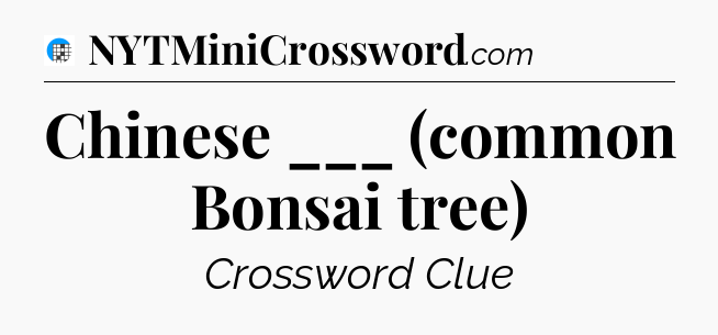 Chinese ___ (common Bonsai tree) Crossword Clue