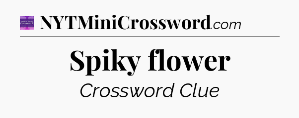 Spiky flower - Thomas Joseph Crossword