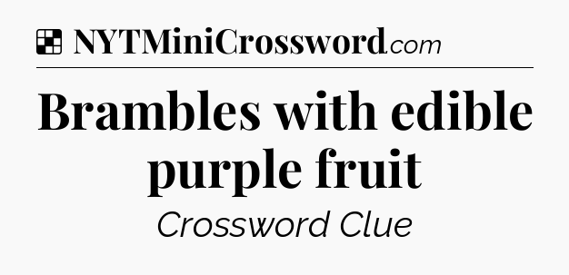 Solution: Brambles with edible purple fruit - NYT Crossword
