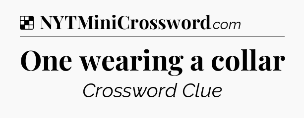 Solution: One wearing a collar - NYT Crossword