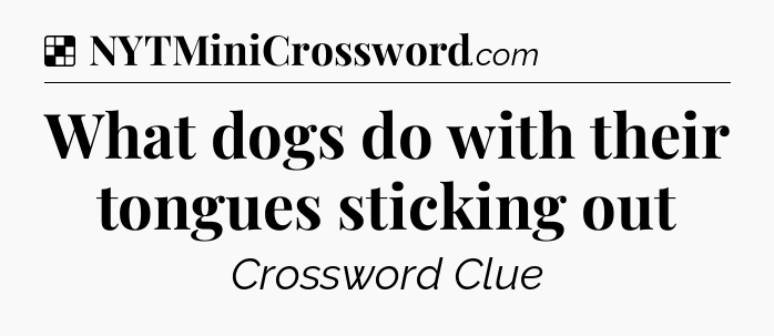 Solution: What dogs do with their tongues sticking out - NYT Crossword