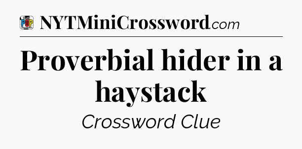 Proverbial hider in a haystack Crossword Clue