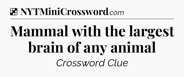 Solution: Mammal with the largest brain of any animal - NYT Crossword