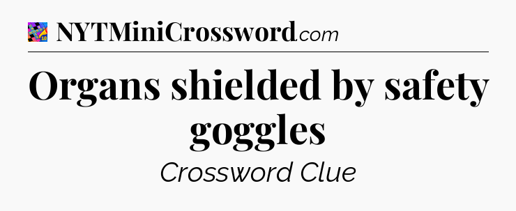 Organs shielded by safety goggles Crossword Clue