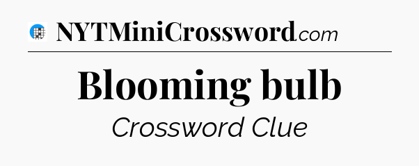 Blooming bulb Crossword Clue