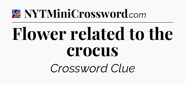 Flower related to the crocus Crossword Clue