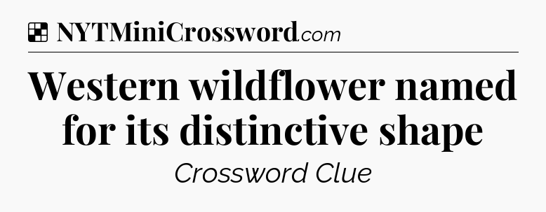 Solution: Western wildflower named for its distinctive shape - NYT Crossword