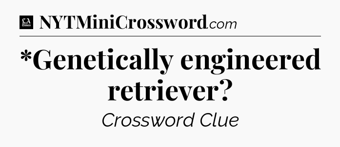 *Genetically engineered retriever - LA Times Crossword