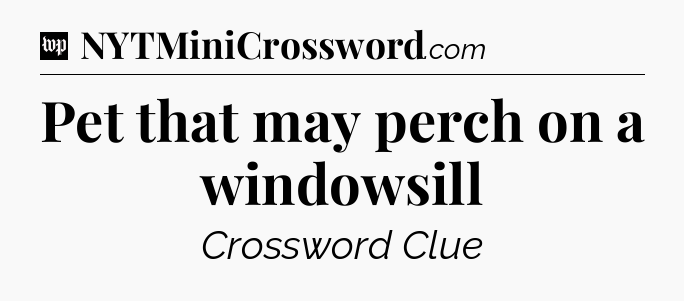 Pet that may perch on a windowsill Crossword Clue