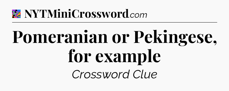 Pomeranian or Pekingese, for example Crossword Clue