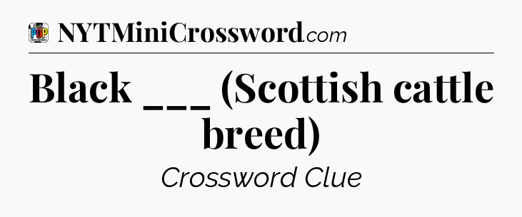 Black ___ (Scottish cattle breed) Crossword Clue