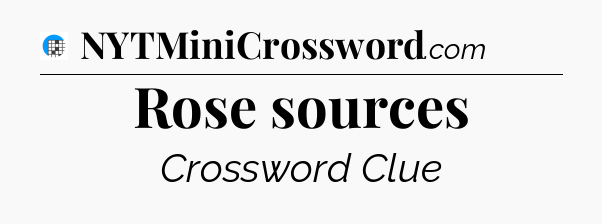 Rose sources Crossword Clue