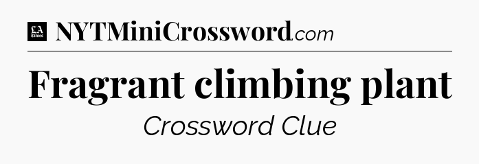 Fragrant climbing plant - LA Times Crossword