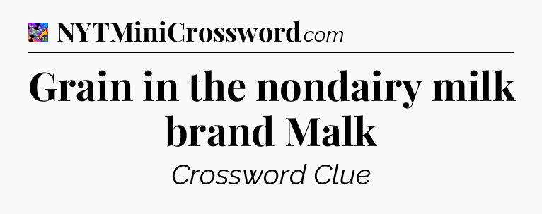 Grain in the nondairy milk brand Malk Crossword Clue