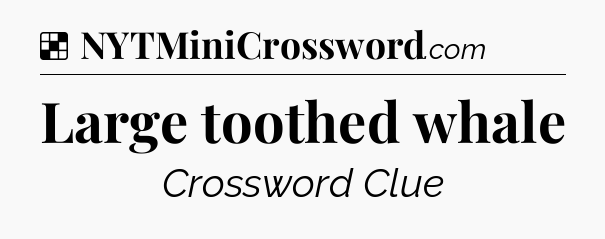 Solution: Large toothed whale - NYT Crossword