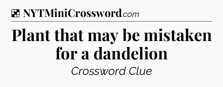 Solution: Plant that may be mistaken for a dandelion - NYT Crossword