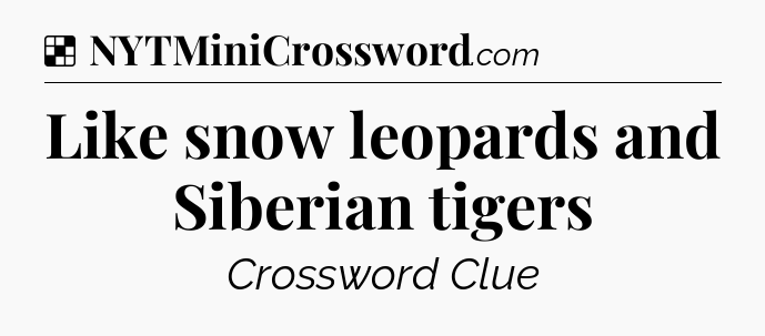 Solution: Like snow leopards and Siberian tigers - NYT Crossword
