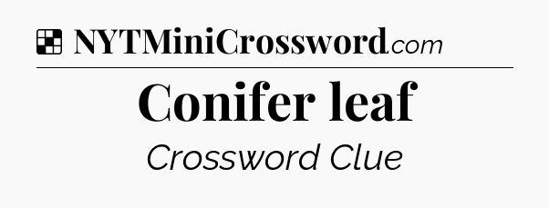 Solution: Conifer leaf - NYT Crossword