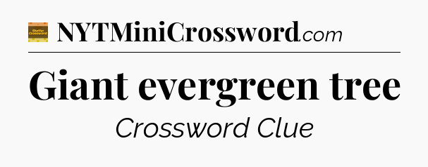 Giant evergreen tree - Eugene Sheffer Crossword