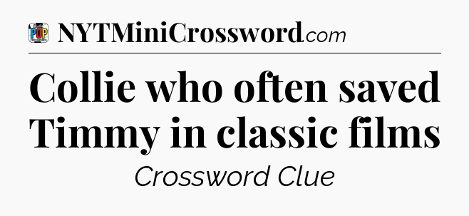 Collie who often saved Timmy in classic films Crossword Clue