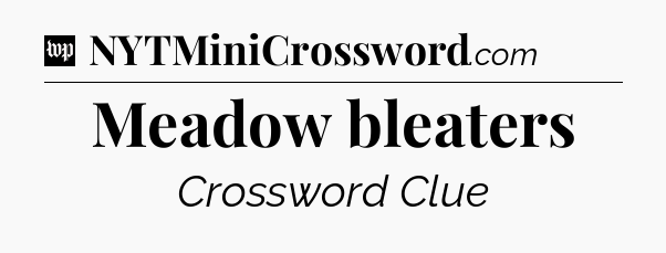 Meadow bleaters Crossword Clue