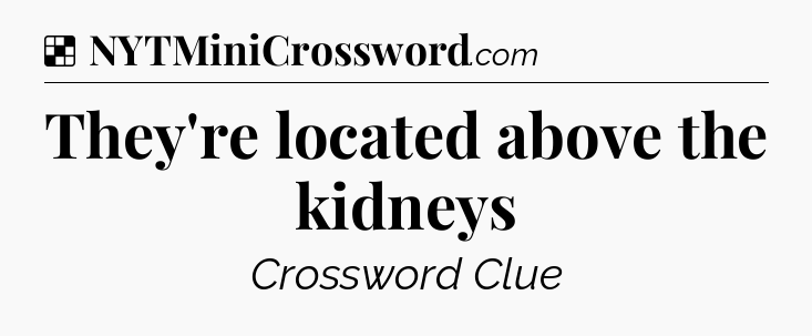 Solution: They're located above the kidneys - NYT Crossword