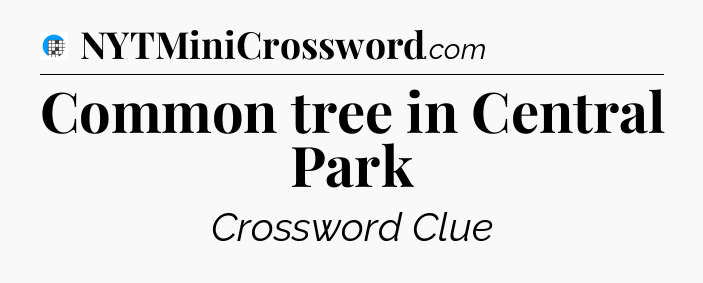 Common tree in Central Park Crossword Clue
