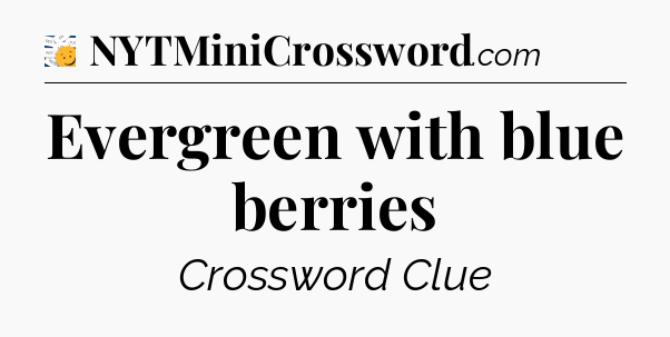 Evergreen with blue berries - 7 Little Words
