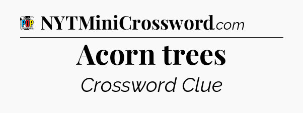 Acorn trees Crossword Clue